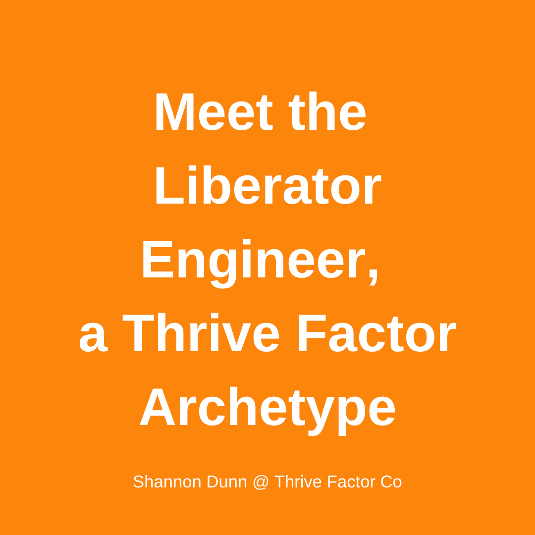 TFCo Liberator Engineer Thrive Factor Archetype | business coaching perth | shannon dunn