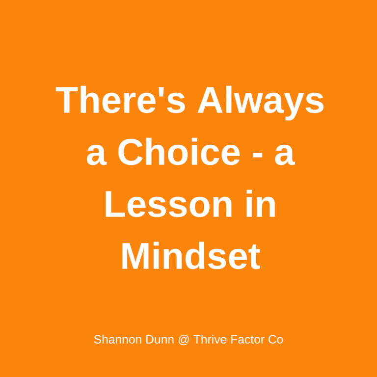 TFCo always a choice mindset | business coaching for women perth australia | mindset coach | Shannon Dunn | archetypes for business | Thrive Factor Coach
